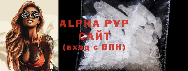 прущие грибы Бронницы