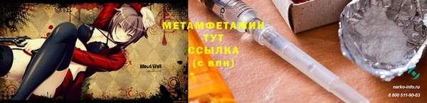 прущие грибы Бронницы