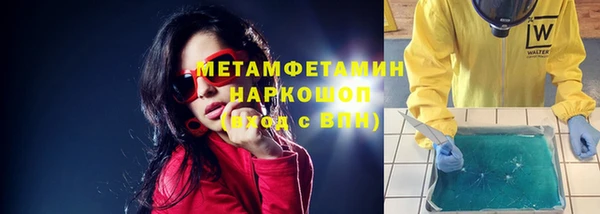 прущие грибы Бронницы