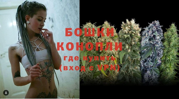 Альфа ПВП Бородино