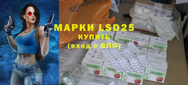 прущие грибы Бронницы