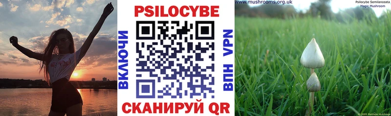 Псилоцибиновые грибы ЛСД  Верхотурье 